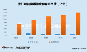 浙江新能斥资10亿连续收购3家0营收标的 现金不足19亿有息负债超350亿